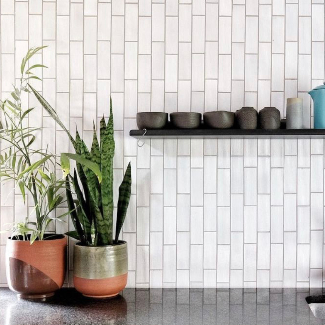 Lip Shelf Large Trio Combo