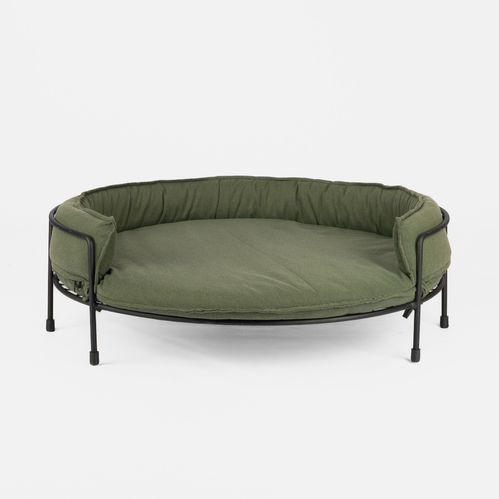 Elevated green dog sofa with a steel frame and soft padding, set against a white background.