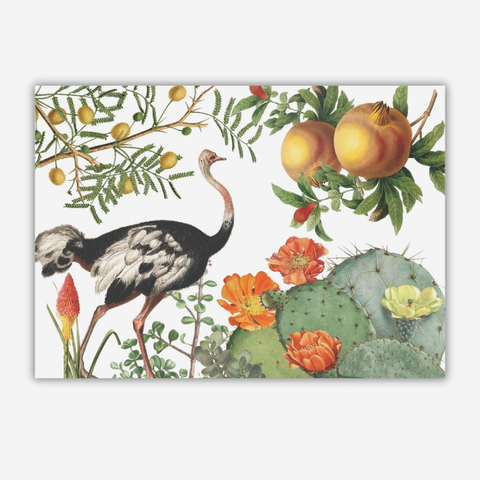 A botanical art print featuring an ostrich, pomegranates, cactus, and orange flowers on a white background, shown as a rectangular print with a subtle drop shadow on a light gray backdrop.