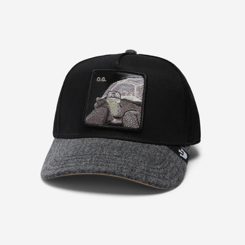The OG Tortoise - Black