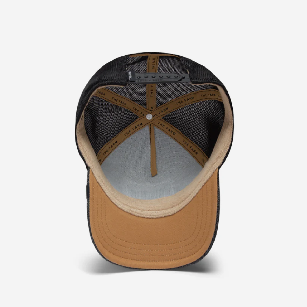 The OG Tortoise - Black