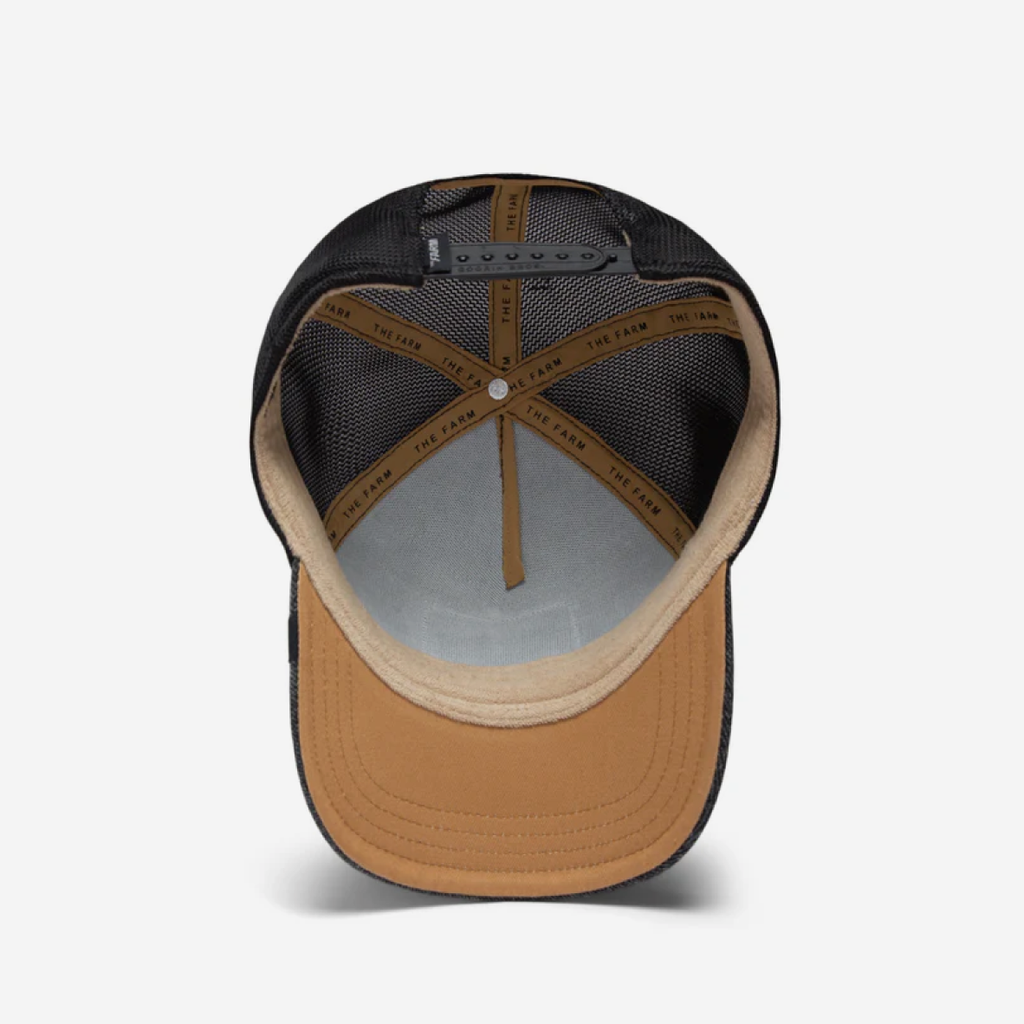 The OG Tortoise - Black