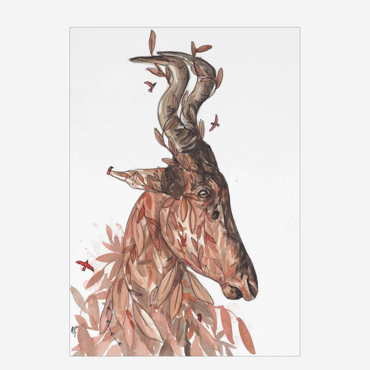 Art Poster A3 - Red Hartebeest