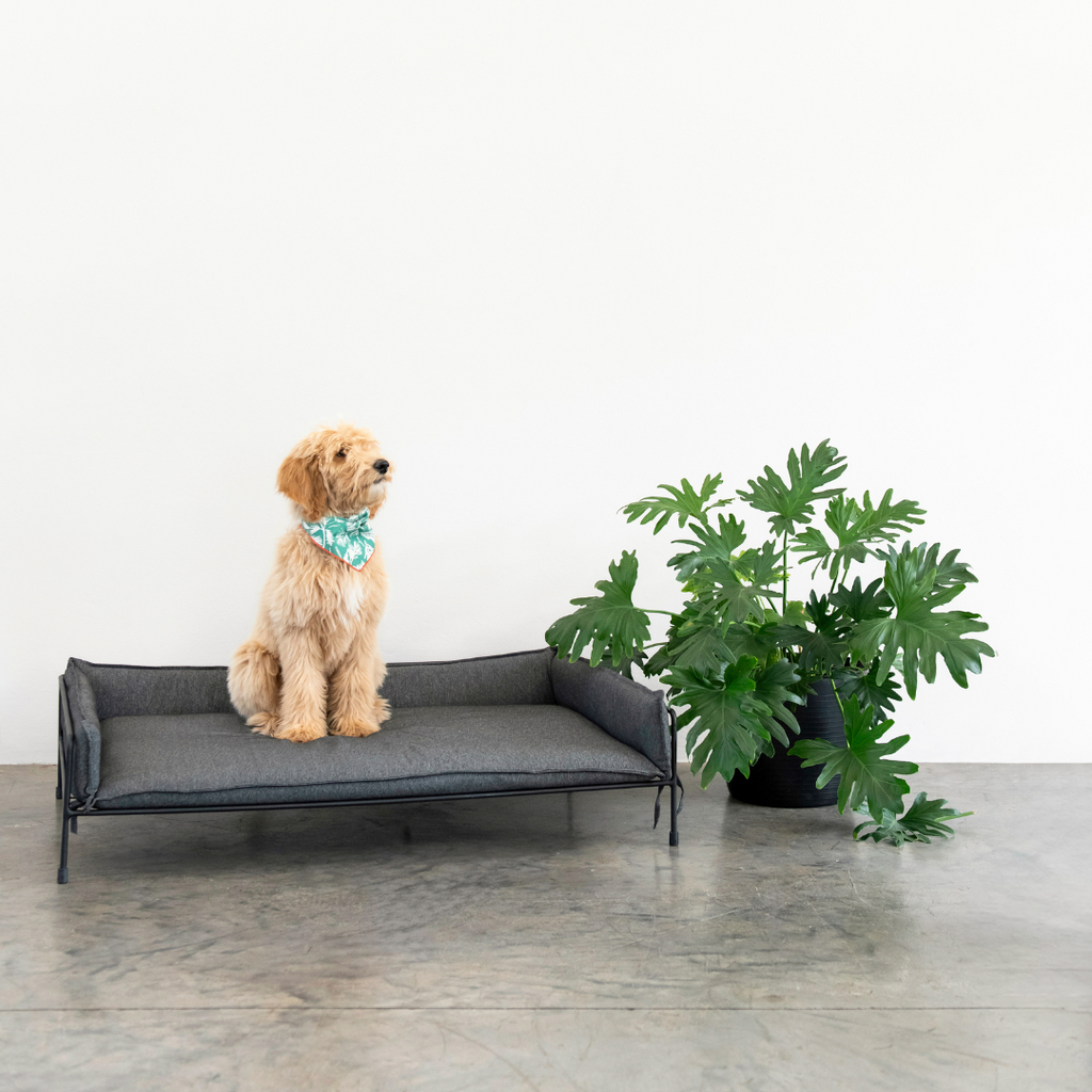Nora Elevated Pet Bed - 120cm