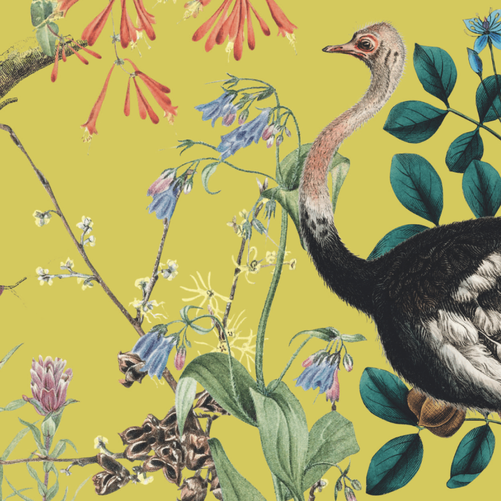 Paper Placemats - Vlerk & Stert