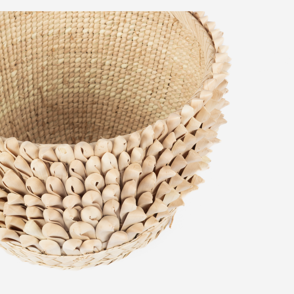 Porcupine Planter