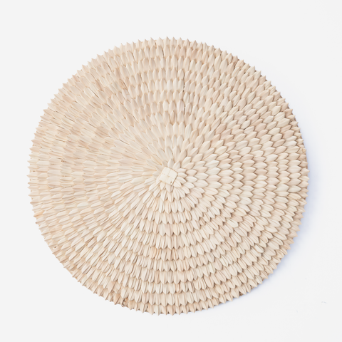 Porcupine Wall Decor