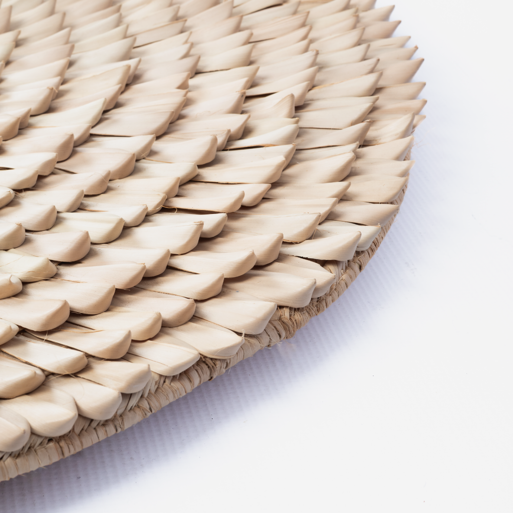 Porcupine Wall Decor