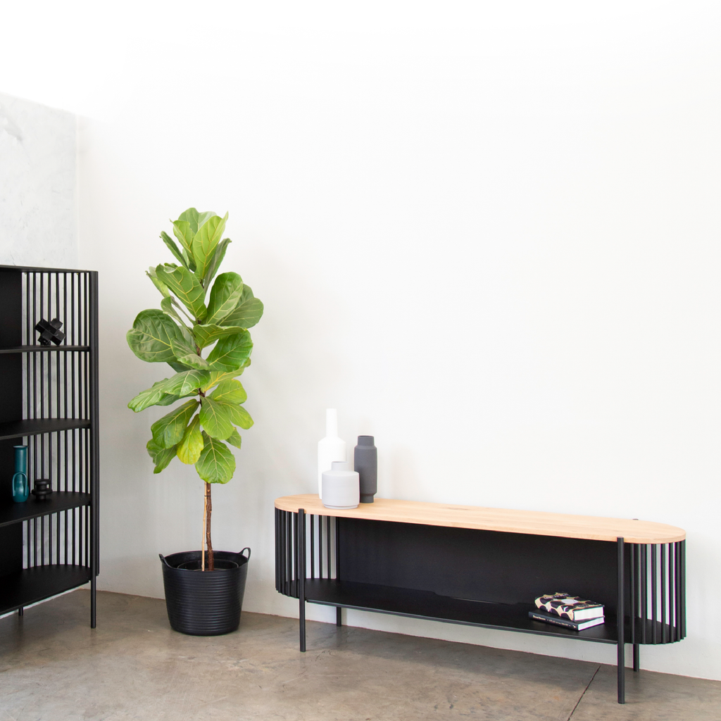 Finn TV Unit