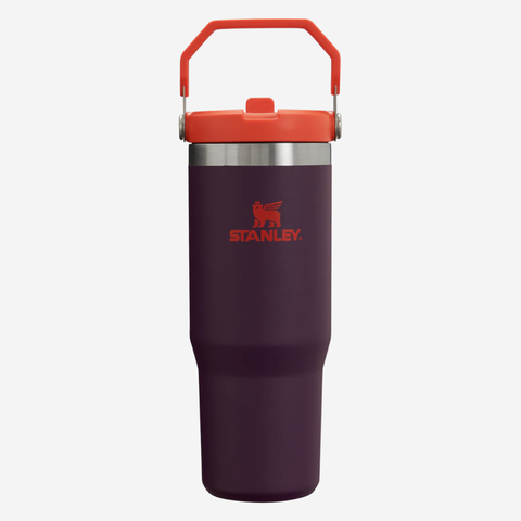 The IceFlow Flip Straw Water Bottle 890ml - Plum