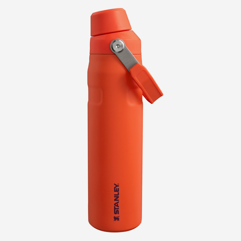 The Aerolight Ice Flow Water Bottle 600ml - Tigerlily Plum