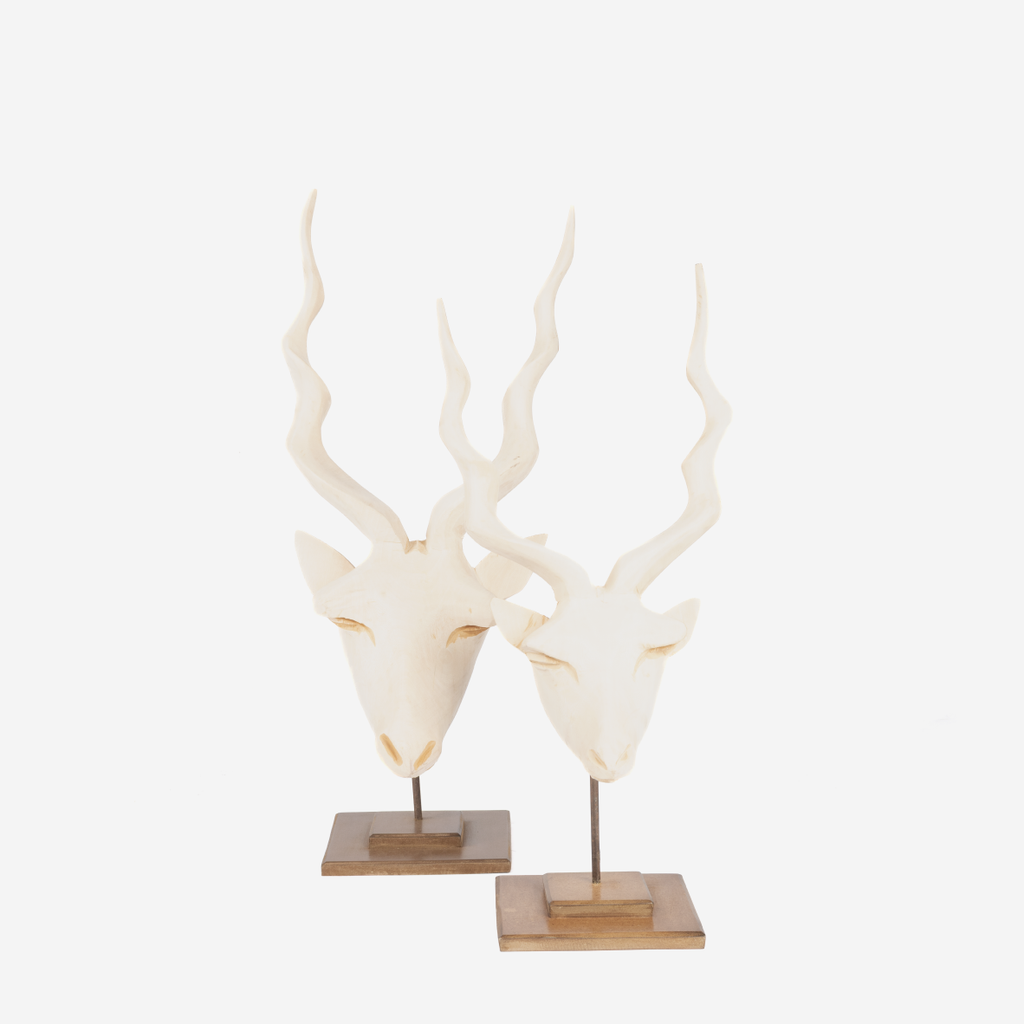 Kudu Head - Natural
