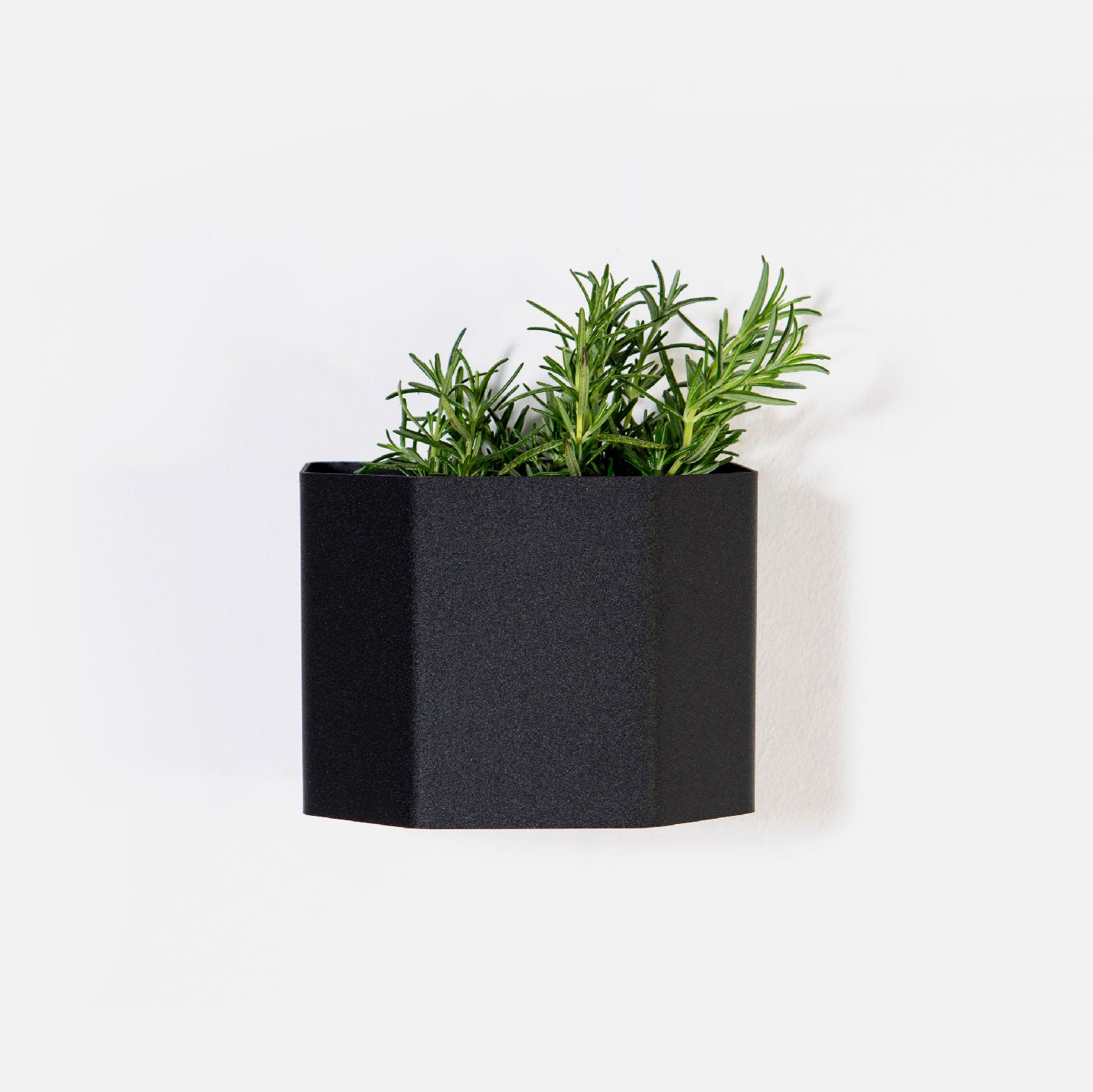 Herb Box Mini - Black