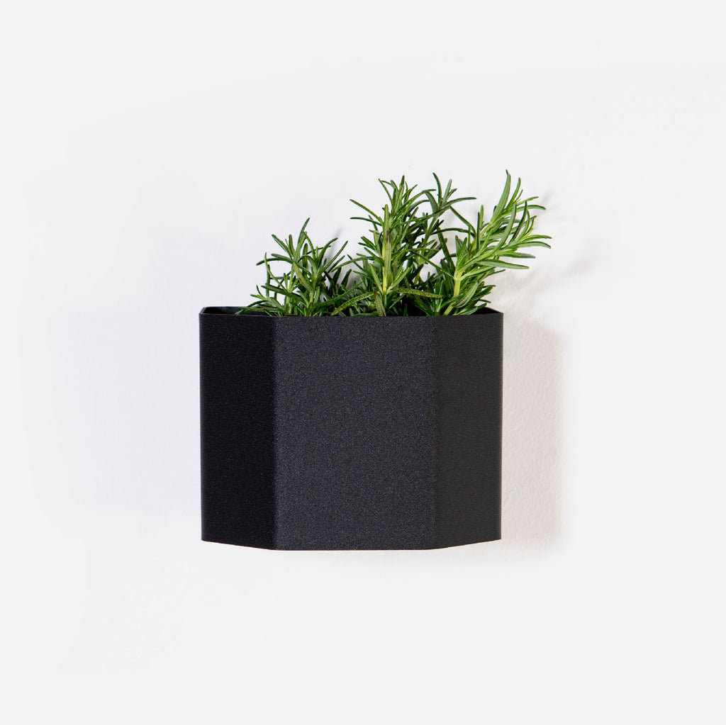 Herb Box Mini - Black