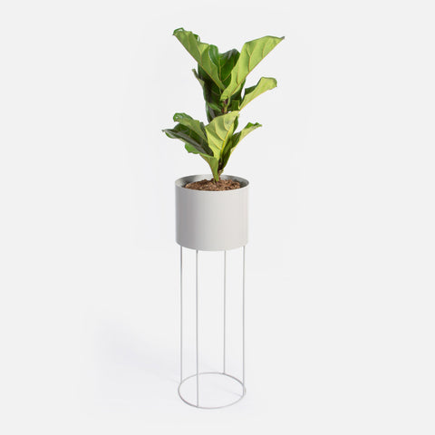 Drum Plant Stand - Clay Grey