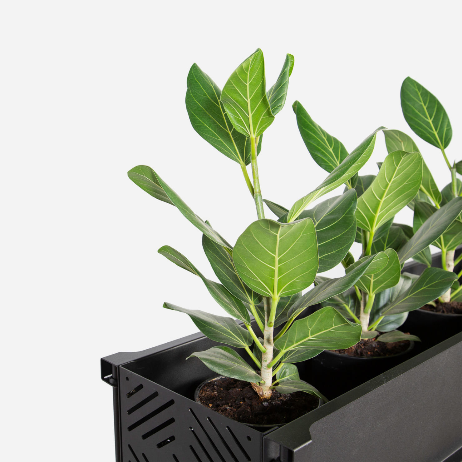 Industrial Planter