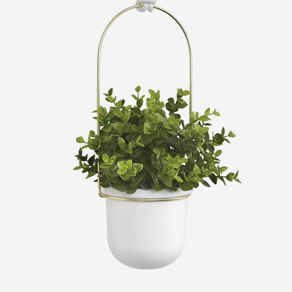 Triflora Hanging Planter - White & Brass